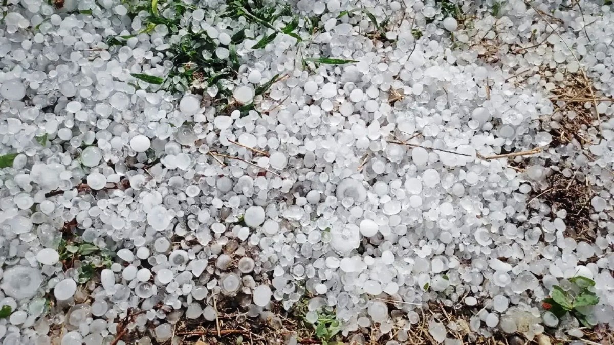 Nevrijeme u Varaždinu rušilo stabla, u Međimurju padala tuča