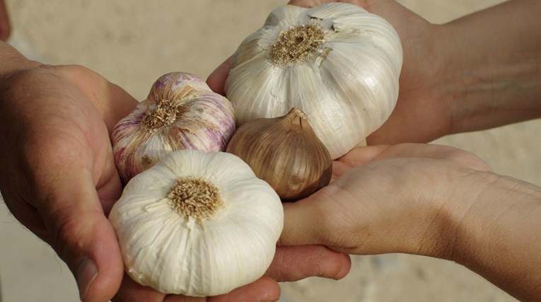 Nutricionisti otkrivaju: Ovih pet namirnica jedite sirove