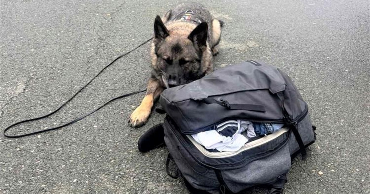 FOTO Mladić u autobusu kod Rijeke uhvaćen s gotovo 13.5 kila droge