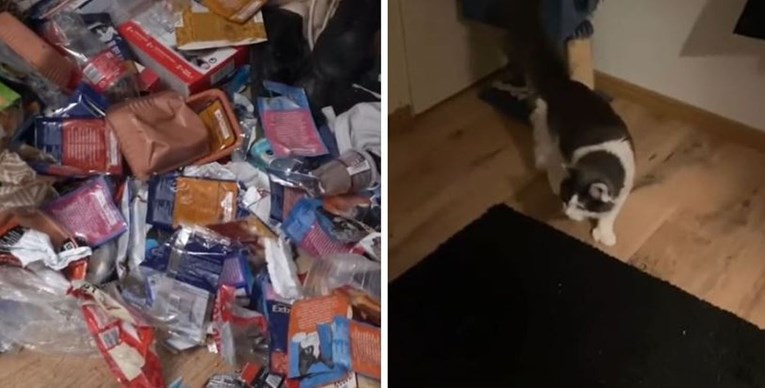 Čistačica pospremila stan pun smeća, reakcija mačke na uredan dom je neprocjenjiva