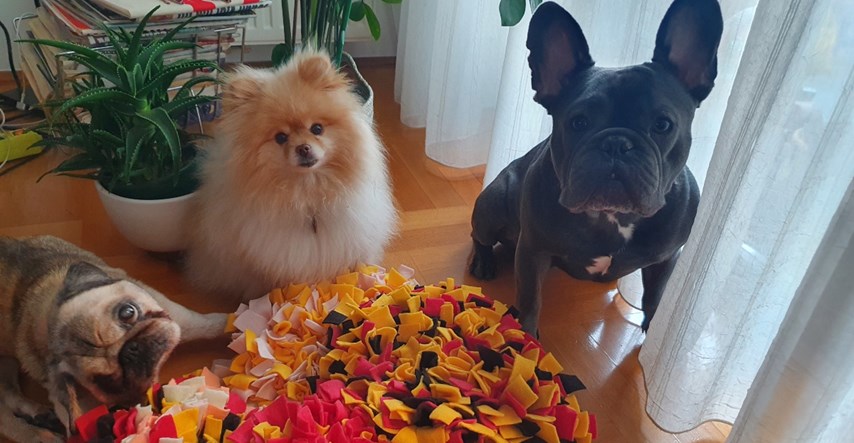 Prva dadilja za pse u Hrvatskoj ima novi hit, igračku za fizičko i mentalno zdravlje