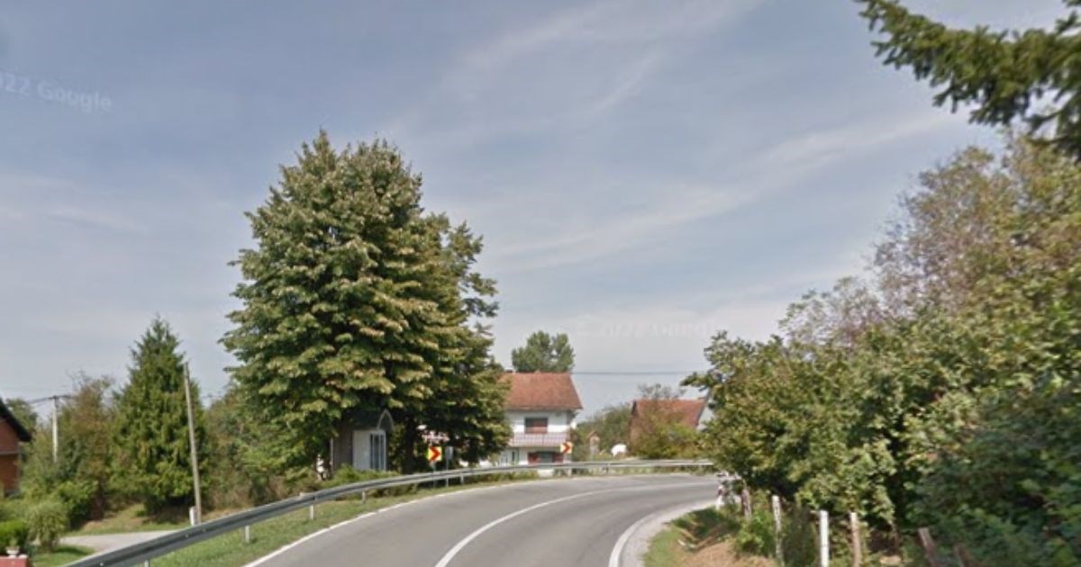 Čopor pasa napao ženu kod Čazme, teško je ozlijeđena. Šogorica: Izbezumila sam se