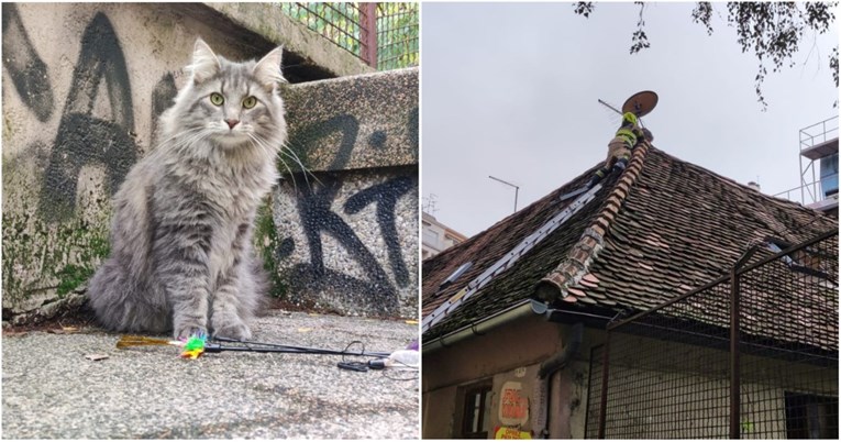 Mačak Aleks proveo je noć na krovu. Pomogli su mu zagrebački vatrogasci