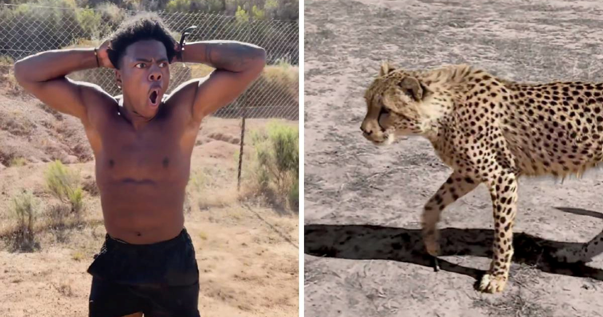 IShowSpeed se utrkivao protiv geparda u Africi