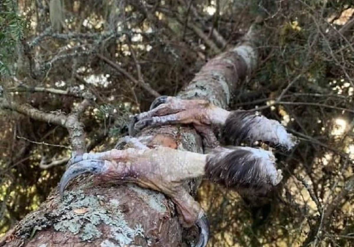25 fotografija iz prirode koje su postale hit na internetu, nije teško vidjeti zašto