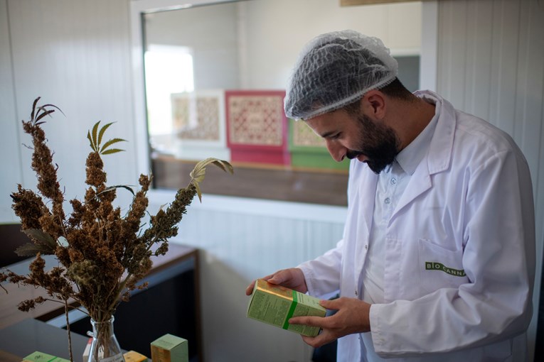 Španjolska legalizirala medicinski kanabis u bolnicama