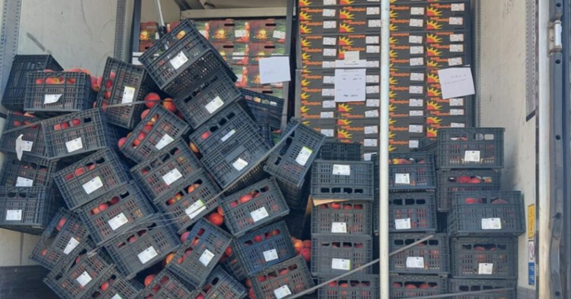 FOTO Akcija Uskoka: Hrpu kokaina skrivali pod nektarinama i vozili ga po EU