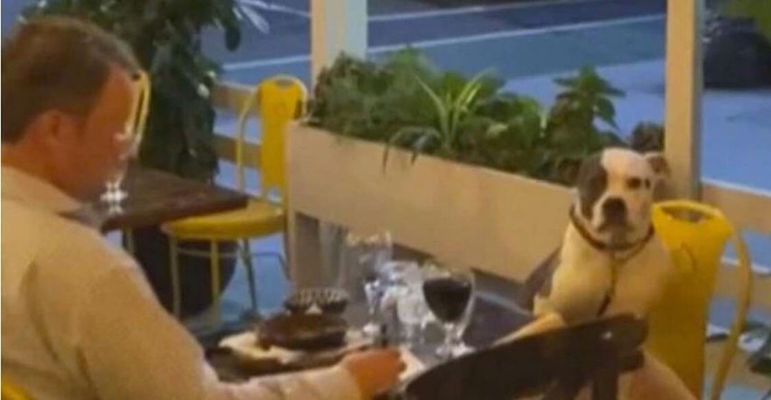 Vlasnik i pas zajedno večerali u restoranu za stolom, video je hit