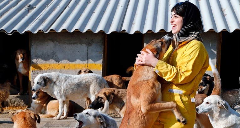Iran će zabraniti držanje kućnih ljubimaca i šetanje pasa
