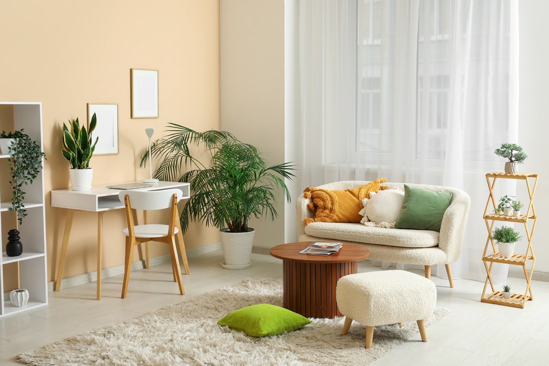 Osvježite dom bez troškova: 5 savjeta dizajnera interijera