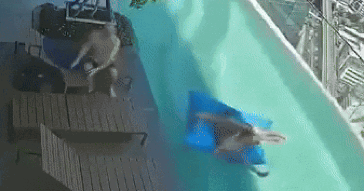 Širi se snimka. Odmarali se u bazenu u Bangkoku, onda je udario razoran potres