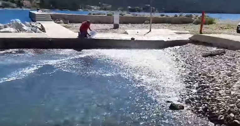Mirjana Hrga snimila kako su ribe na Cresu izašle na suho: Nikad ovo nisam vidjela