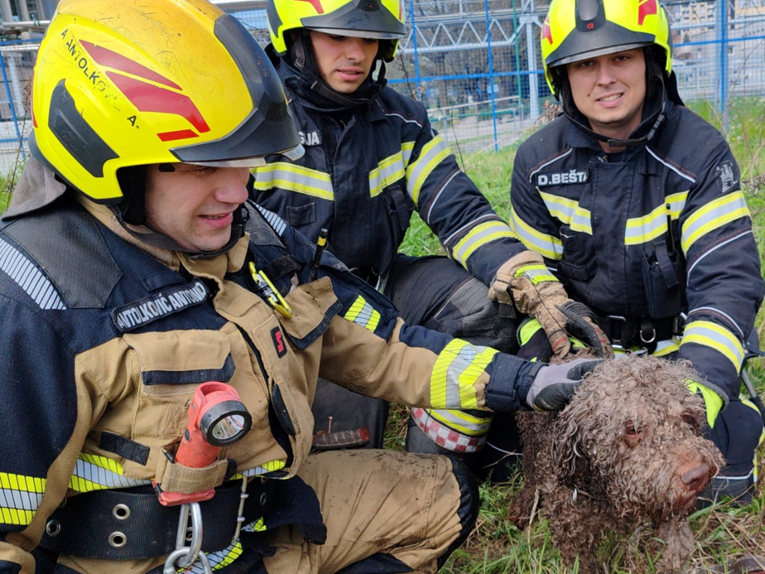 Zagrebački vatrogasci spasili psa koji je upao u šaht