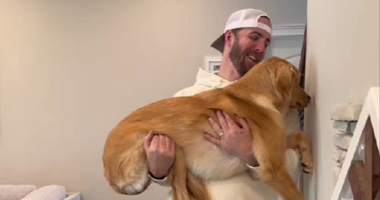 Simpatičnim izazovom testirao inteligenciju svojih pasa pa nasmijao TikTok