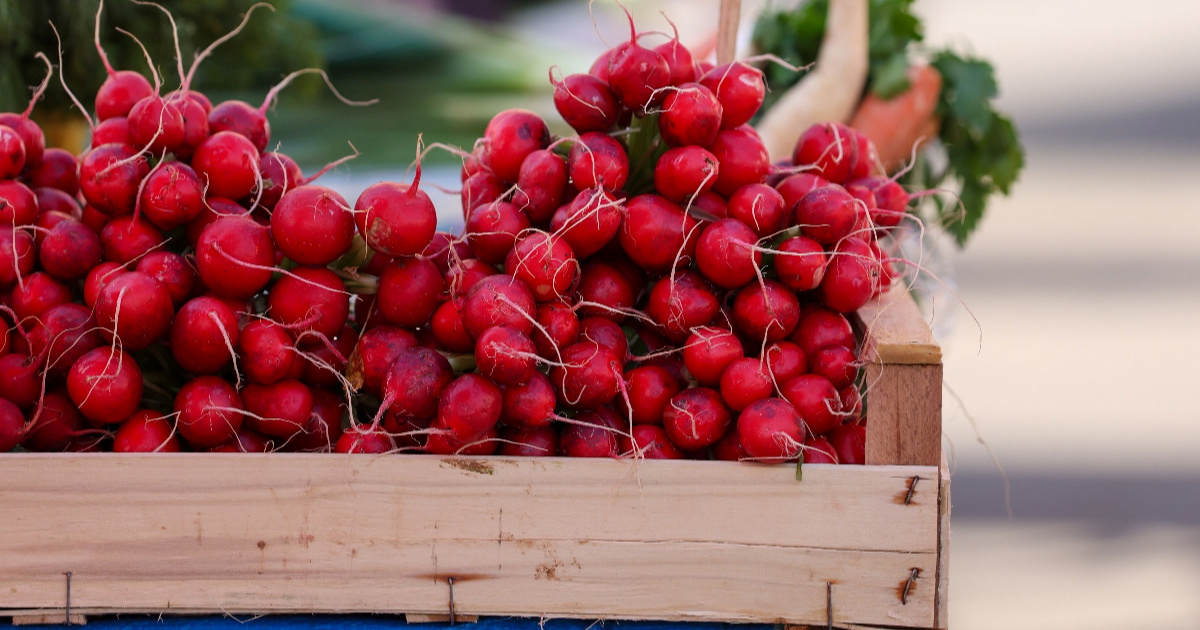 Osvježavajuće i zdrave: Rotkvice su pravi proljetni adut na tanjuru