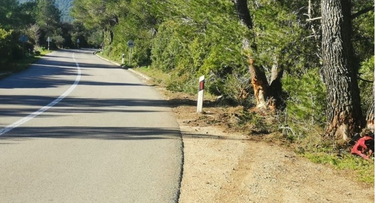 Prometni stručnjak o tragediji na Korčuli: Apsurd je da tamo ne trebaju zimske gume