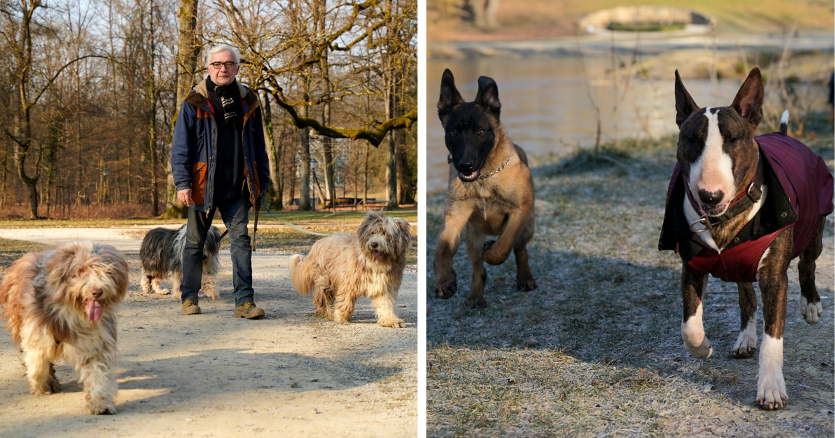 FOTO Pogledajte kakve smo slatkiše sreli jutros u šetnji zagrebačkim Maksimirom