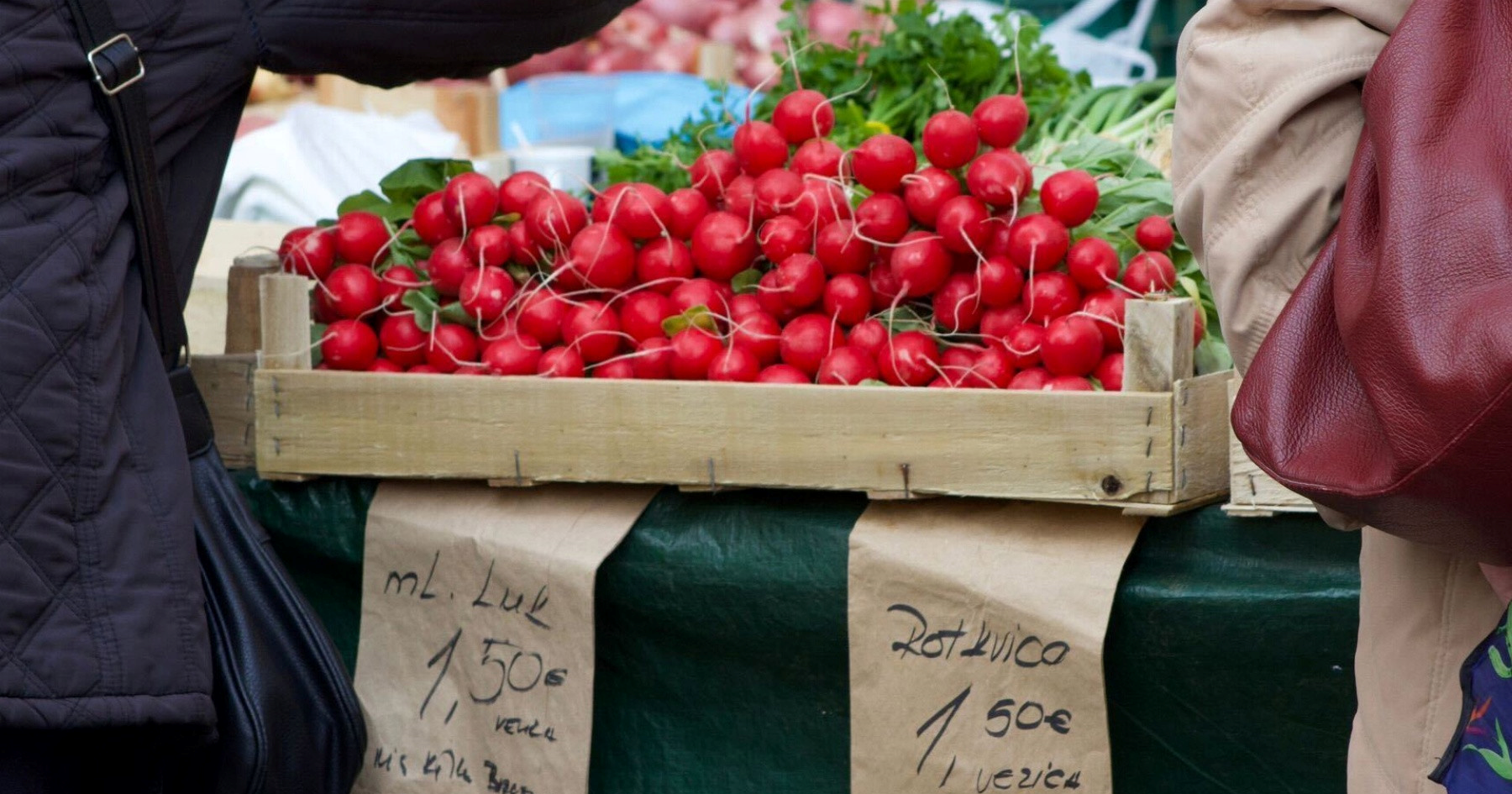 Kako prepoznati svježe rotkvice na tržnici?