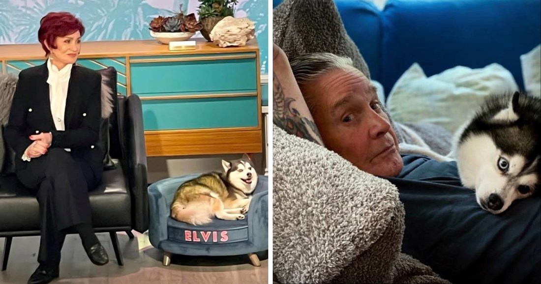 Pas obitelji Osbourne uginuo tri mjeseca nakon Ozzyjeve smrti, Sharon se oprašta