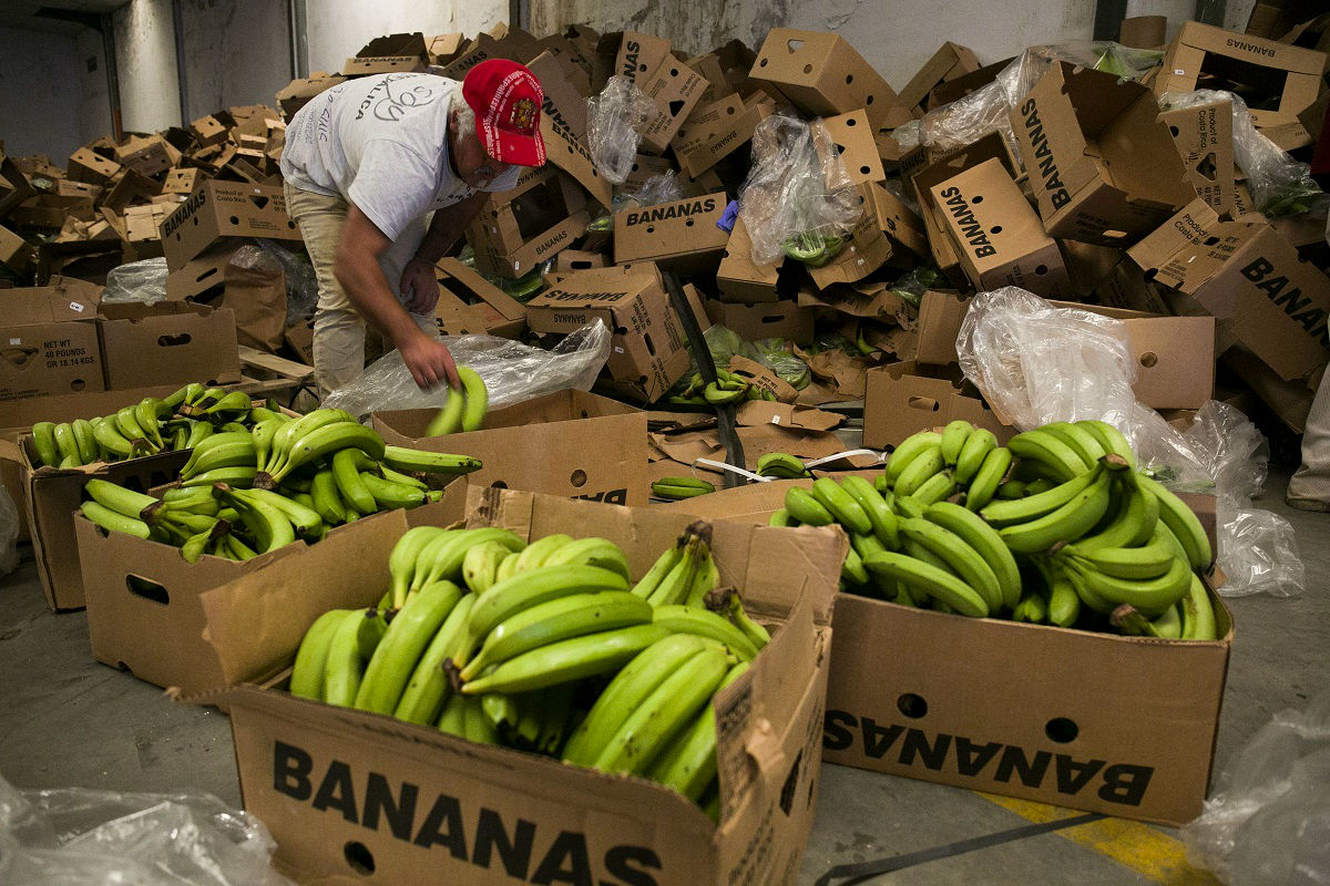 Albanska narkomafija u Njemačkoj švercala kokain u bananama