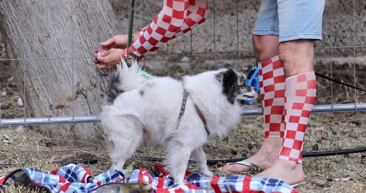 Preslatki psić ukrao pozornost u splitskoj fan zoni