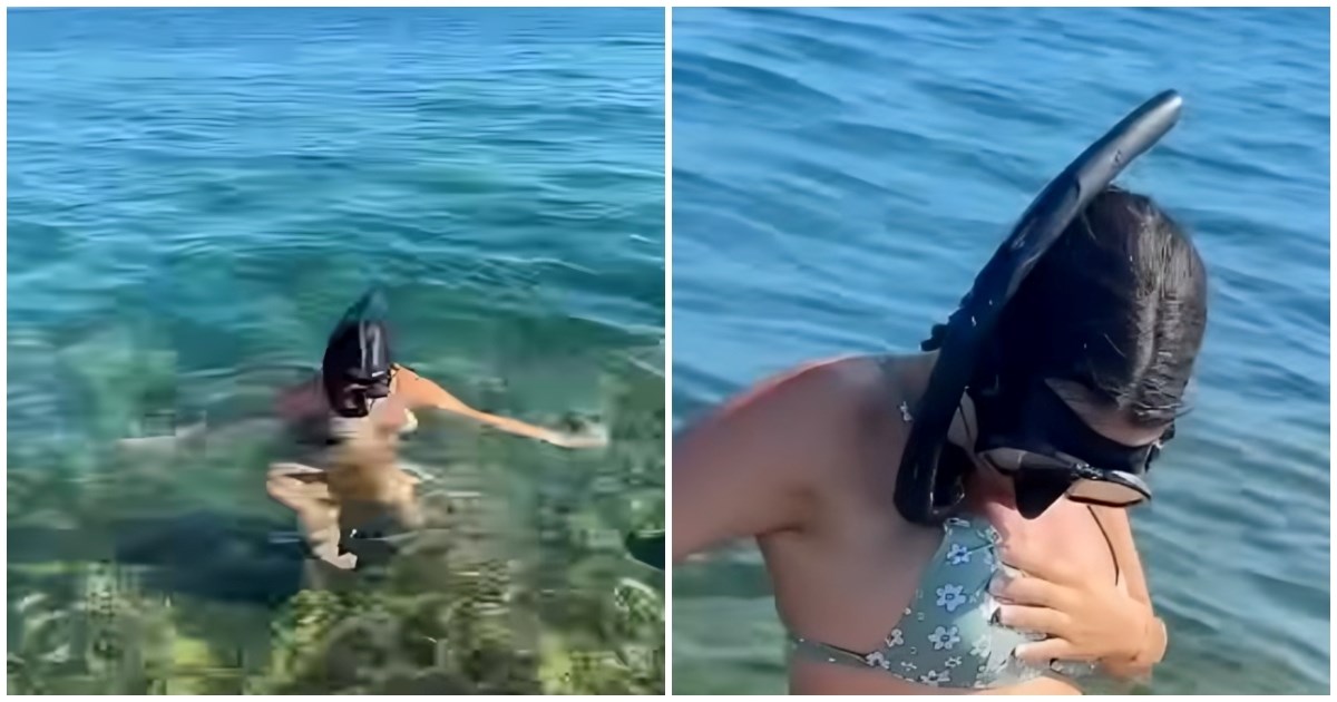 VIDEO Trudnica se kupala u moru pa ostala u čudu kad je vidjela što joj je na trbuhu