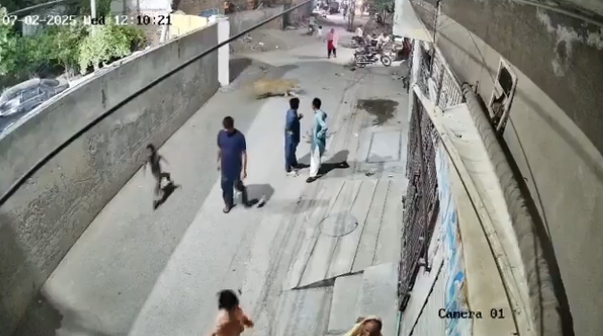 VIDEO Lav preskočio zid i napao obitelj u Pakistanu, vlasnici uhićeni