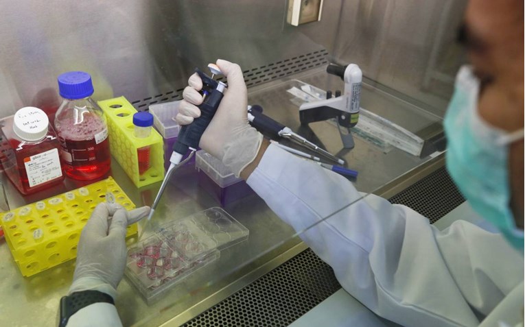 Njemačko cjepivo protiv koronavirusa: Životinje su razvile imunitet