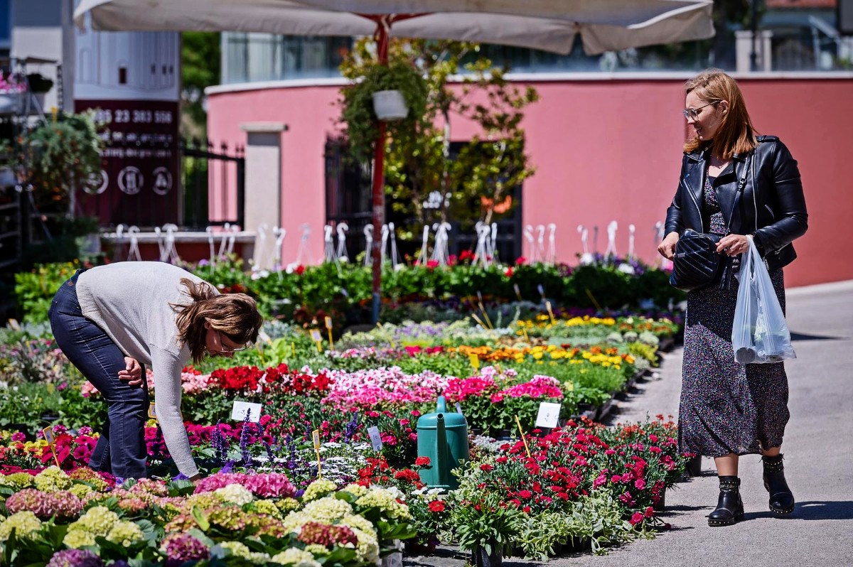Cvjećari: Ilegalna prodaja na društvenim mrežama nam kvari posao