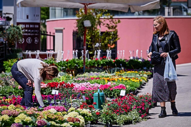 Cvjećari: Ilegalna prodaja na društvenim mrežama nam kvari posao