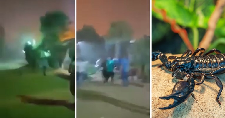 Najezda škorpiona u egipatskom gradu nakon jake oluje, troje mrtvih, 450 ozlijeđenih