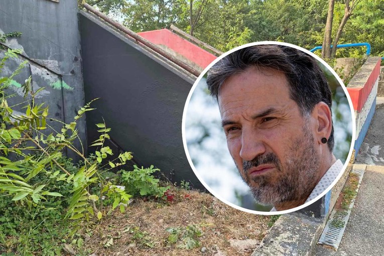 Miletić: Sram me da sam pozvao ljude da glasaju za Ivu Rinčić!