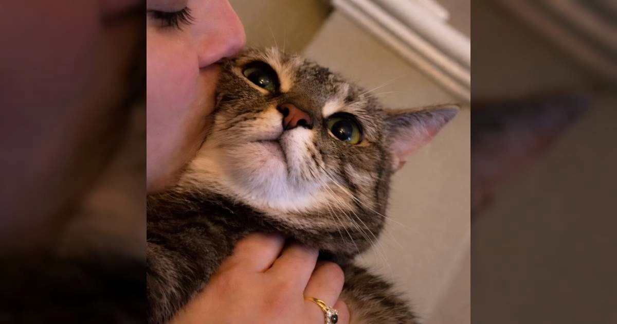 Nezainteresirana mačka koju vlasnica ljubi osvojila internet