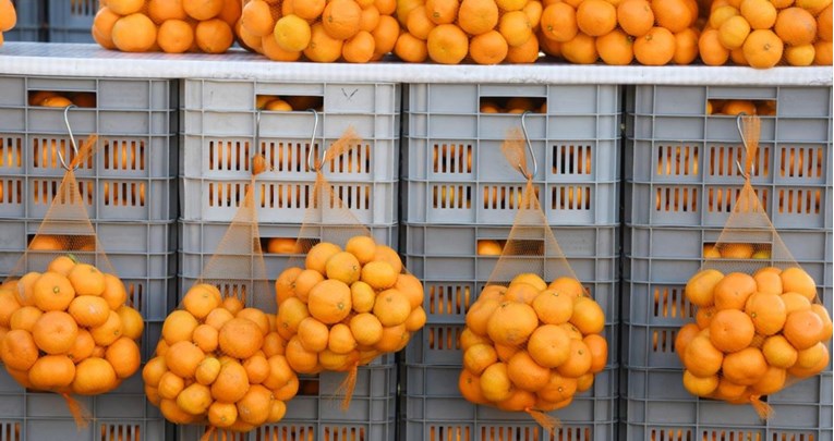 Perica iz Metkovića otkupio 7 tona mandarina, donirao ih dječjim bolnicama i domovima
