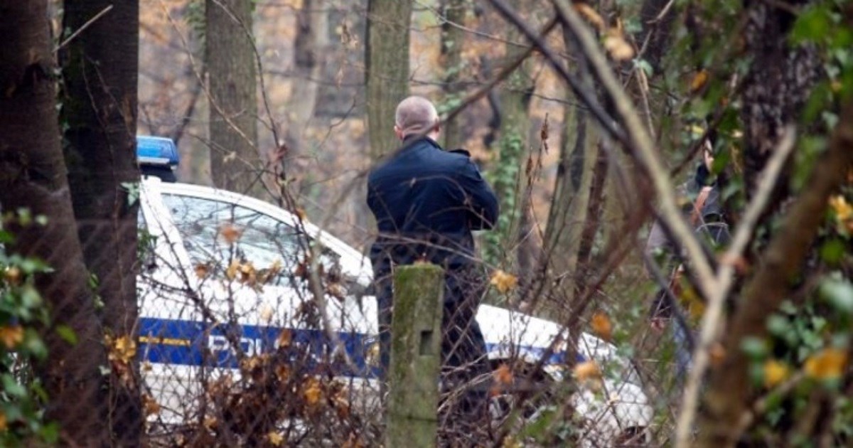 Kod Samobora teže ozlijeđen prilikom rušenja stabla