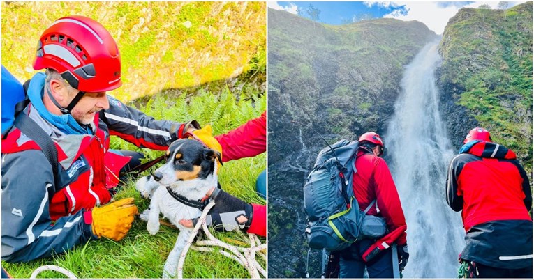 Psić u Škotskoj pao 60 metara niz vodopad, na sigurno ga izvukli gorski spasitelji