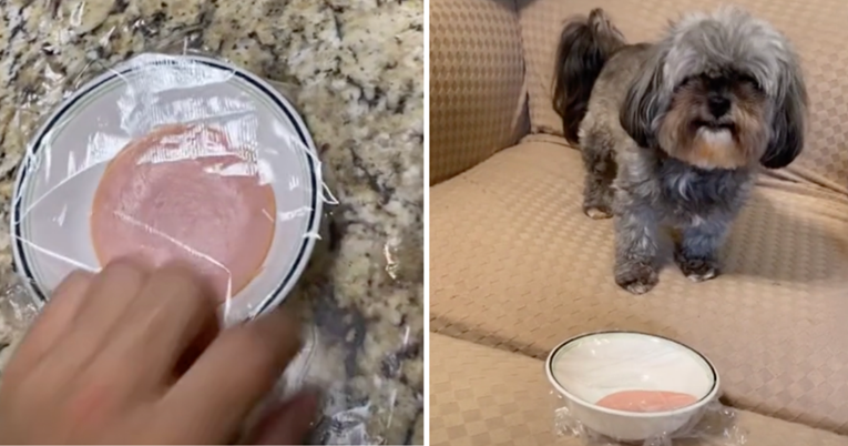 Pas je poludio kad mu je vlasnik dao posudu s hranom prekrivenom plastičnom folijom