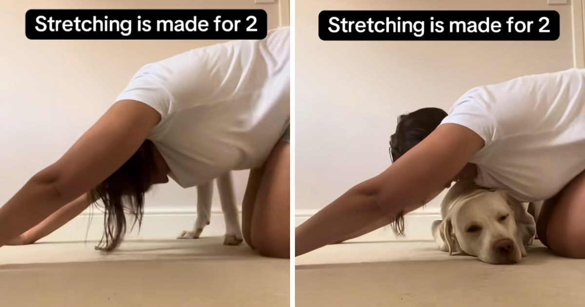 Žena pokušavala raditi vježbe istezanja, ali njezin pas je imao drugačije planove