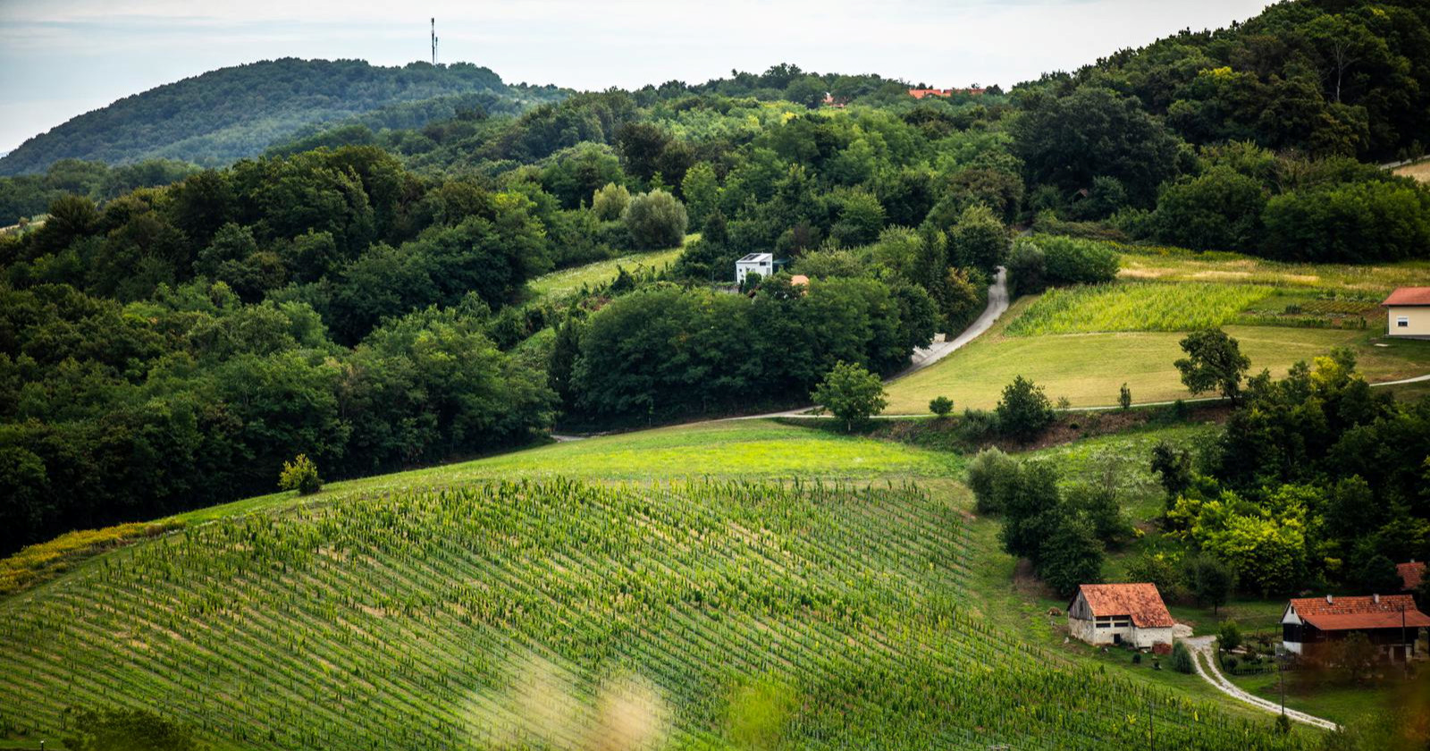 U zagorsku poljoprivredu lani uloženo gotovo 840 milijuna eura