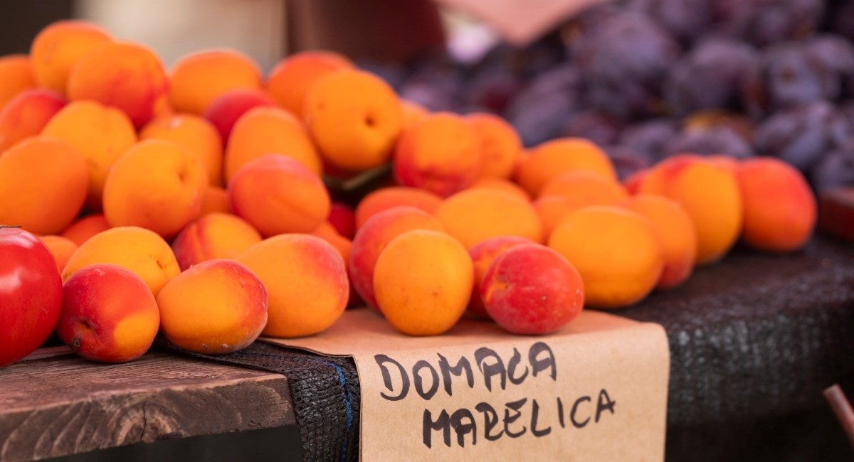 Top slastice s marelicama koje obavezno radimo dok su u sezoni