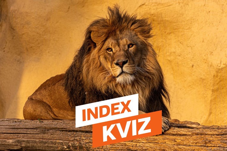 INDEX KVIZ Možete li točno odgovoriti na svih 15 pitanja?