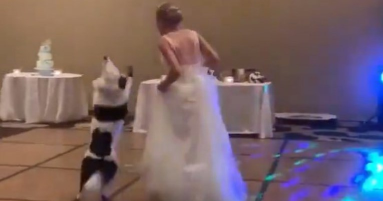 Snimka mladenke koja na svadbi pleše sa psom pregledana milijun puta