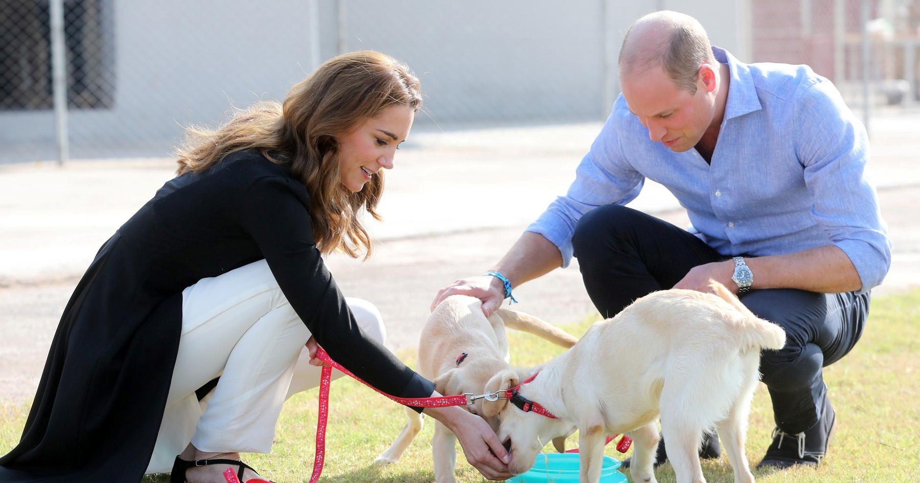 Mnoge bi moglo naljutiti mjesto na kojem spava pas Williama i Kate