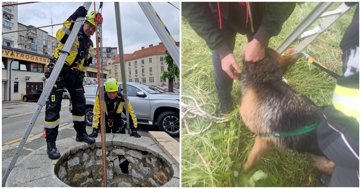 Zagrebački vatrogasci spasili psa koji je upao u šaht dubok 10 metara