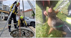 Zagrebački vatrogasci spasili psa koji je upao u šaht dubok 10 metara