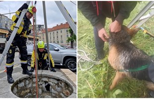 Zagrebački vatrogasci spasili psa koji je upao u šaht dubok 10 metara