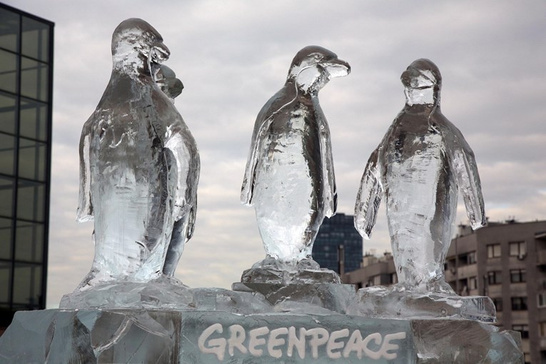 VIDEO Aktivisti Greenpeacea izložili ledenu skulpturu pingvina u Zagrebu
