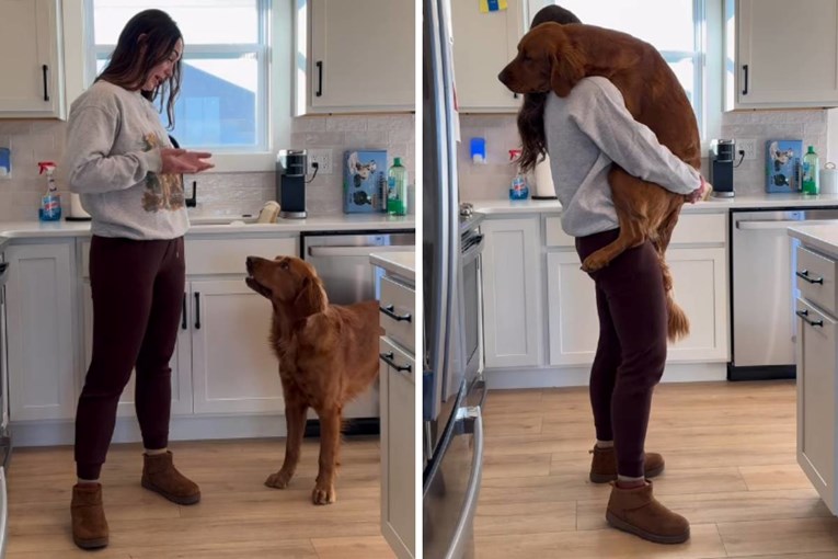 VIDEO Pospani pas želi da ga vlasnica svako jutro nosi dok se ne razbudi