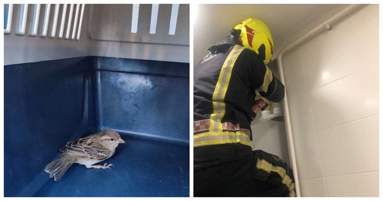 Vrabac na Novu godinu zapeo u dimnjaku. Spasili ga zagrebački vatrogasci