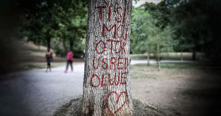 Na stablu kod zagrebačkog Ribnjaka osvanula ljubavna poruka: "Ti si moj otok"